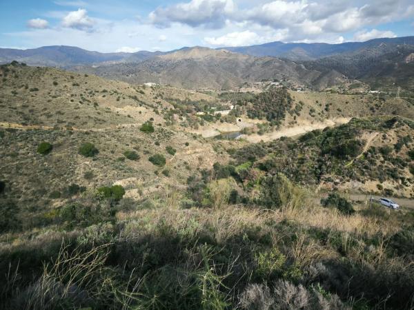 Terreno en Zona Pantano del Limonero s/n Sn photo 4