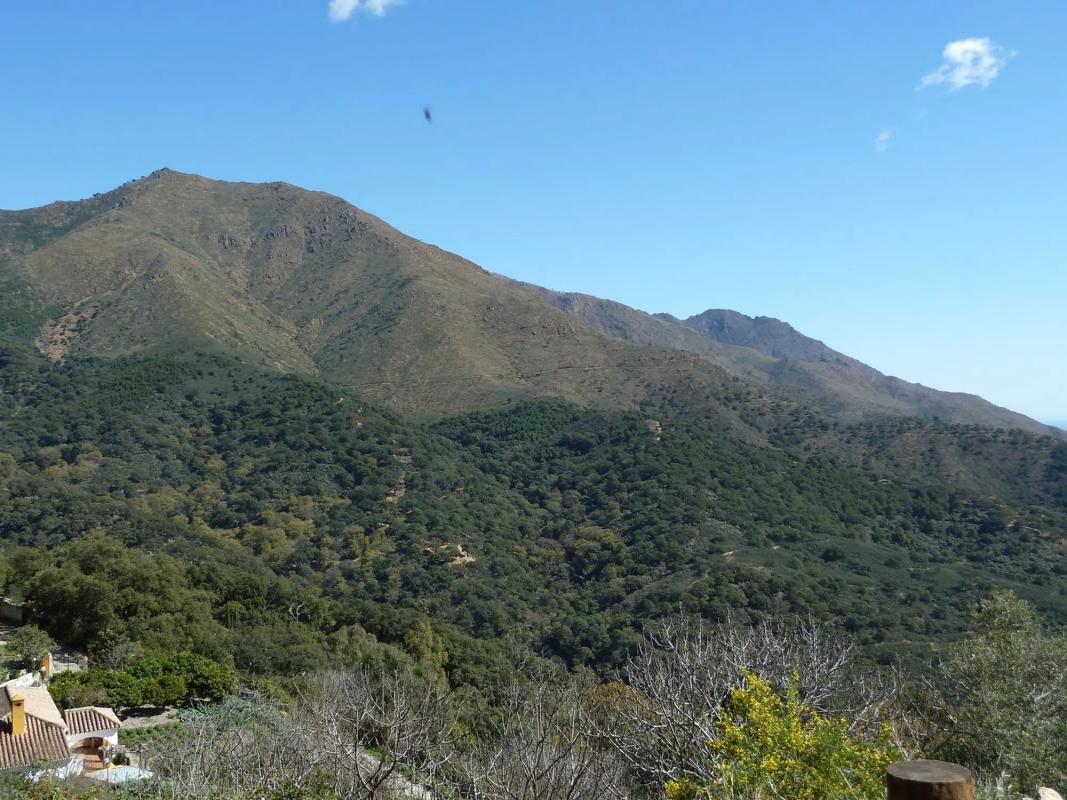 Terreno en venta en Casares, Malaga photo 2