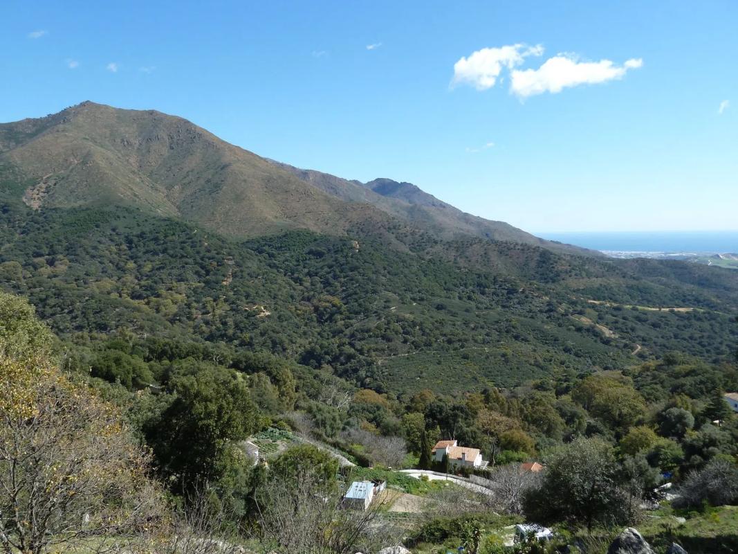 Terreno en venta en Casares, Malaga photo 3