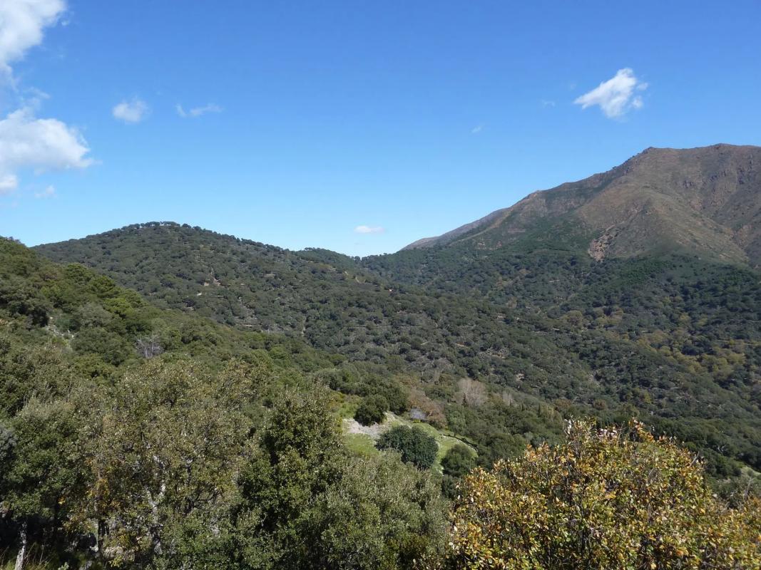 Terreno en venta en Casares, Malaga photo 4