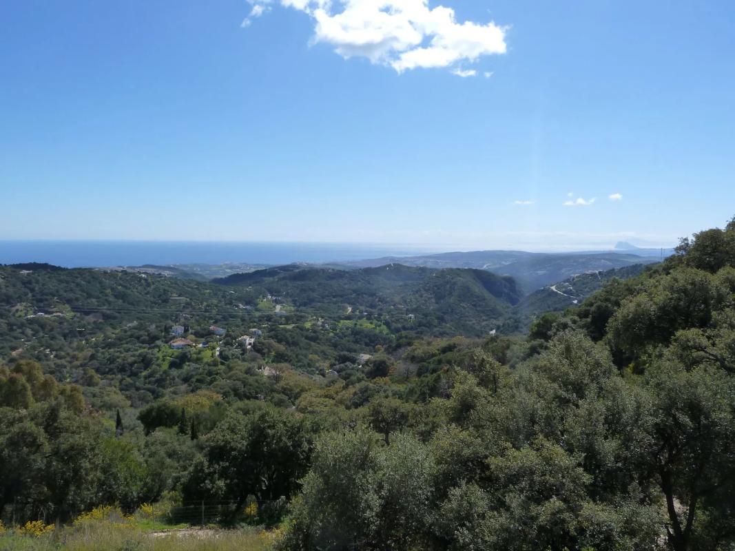 Terreno en venta en Casares, Malaga photo 5