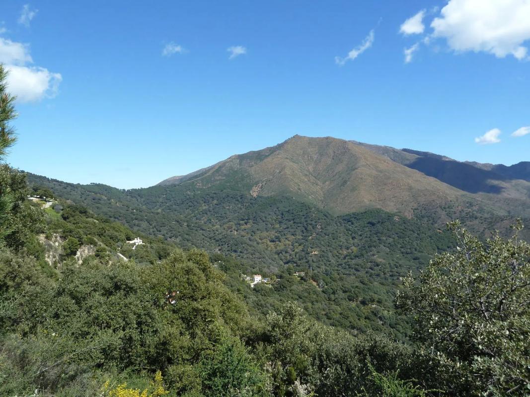 Terreno en venta en Casares, Malaga photo 3