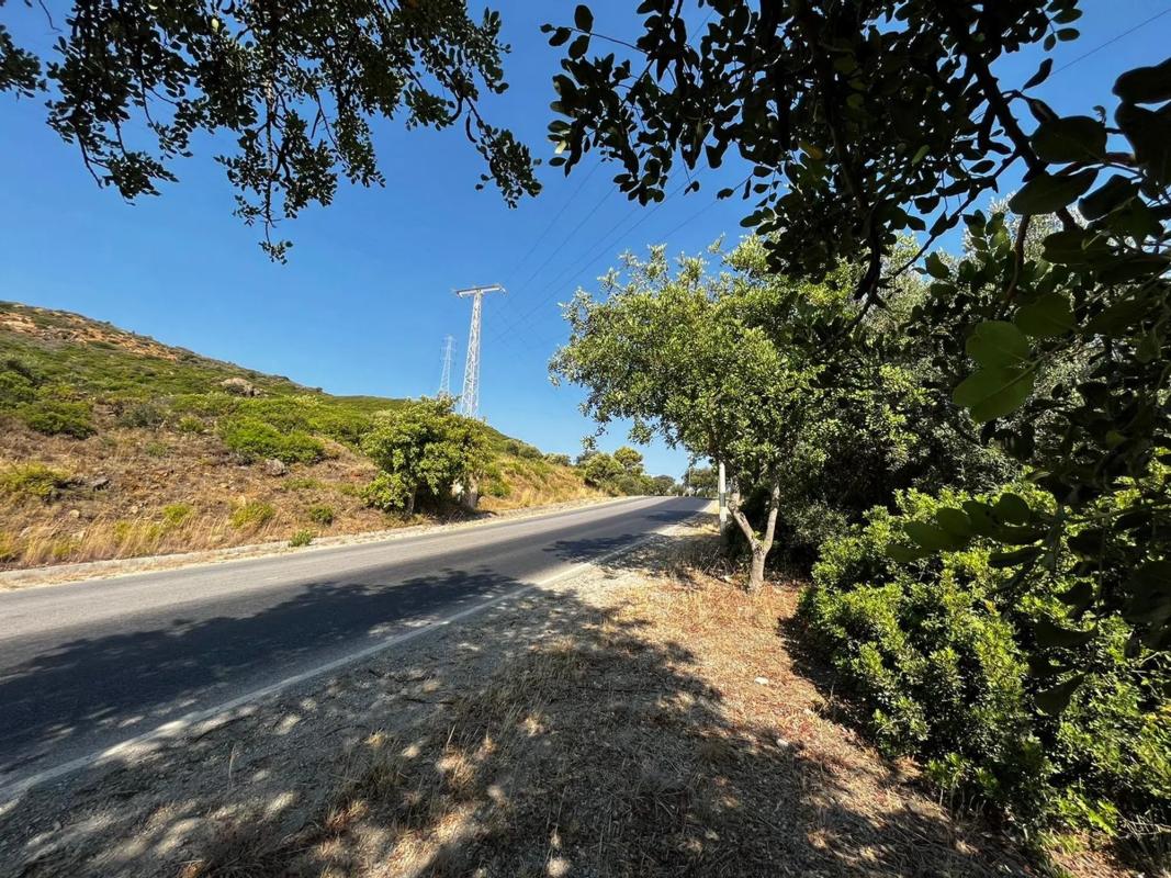 Land for sale in Estepona, Malaga photo 2