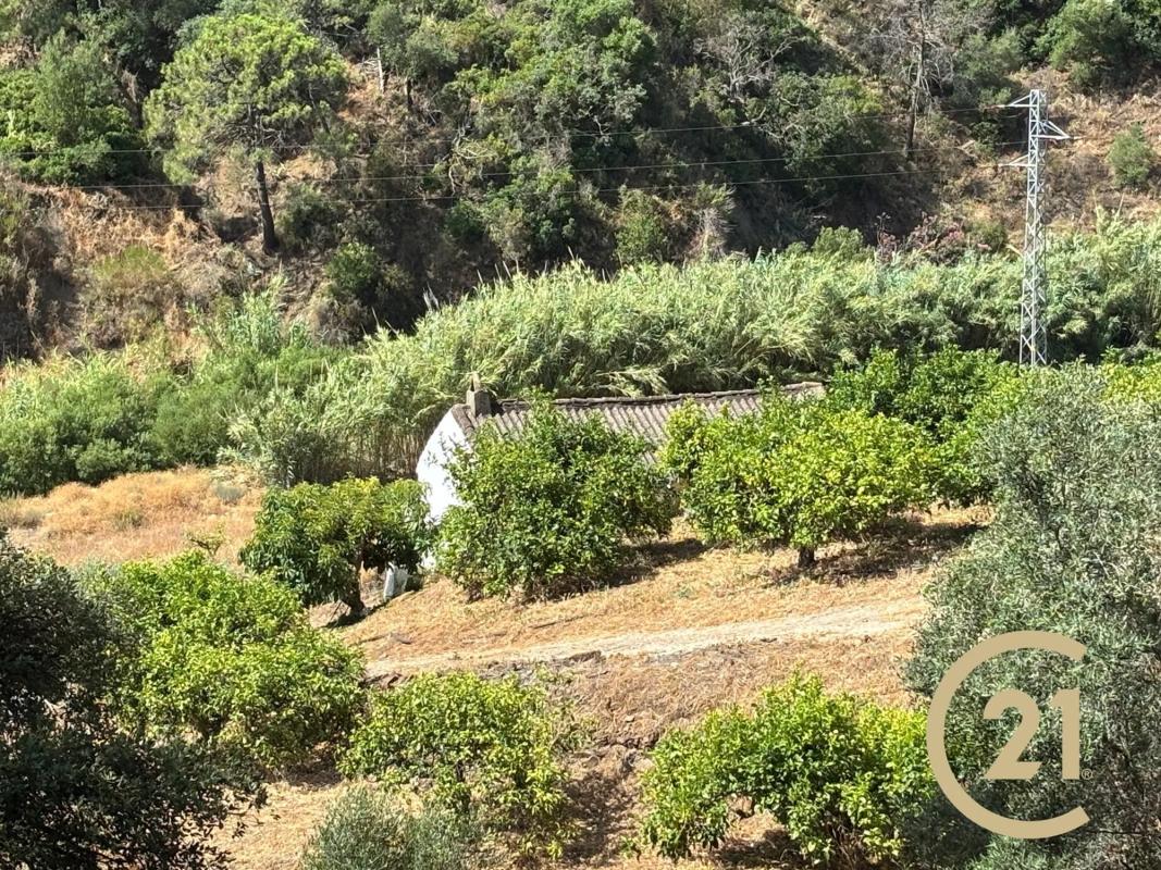 Działka na sprzedaż w Estepona, Malaga photo 2