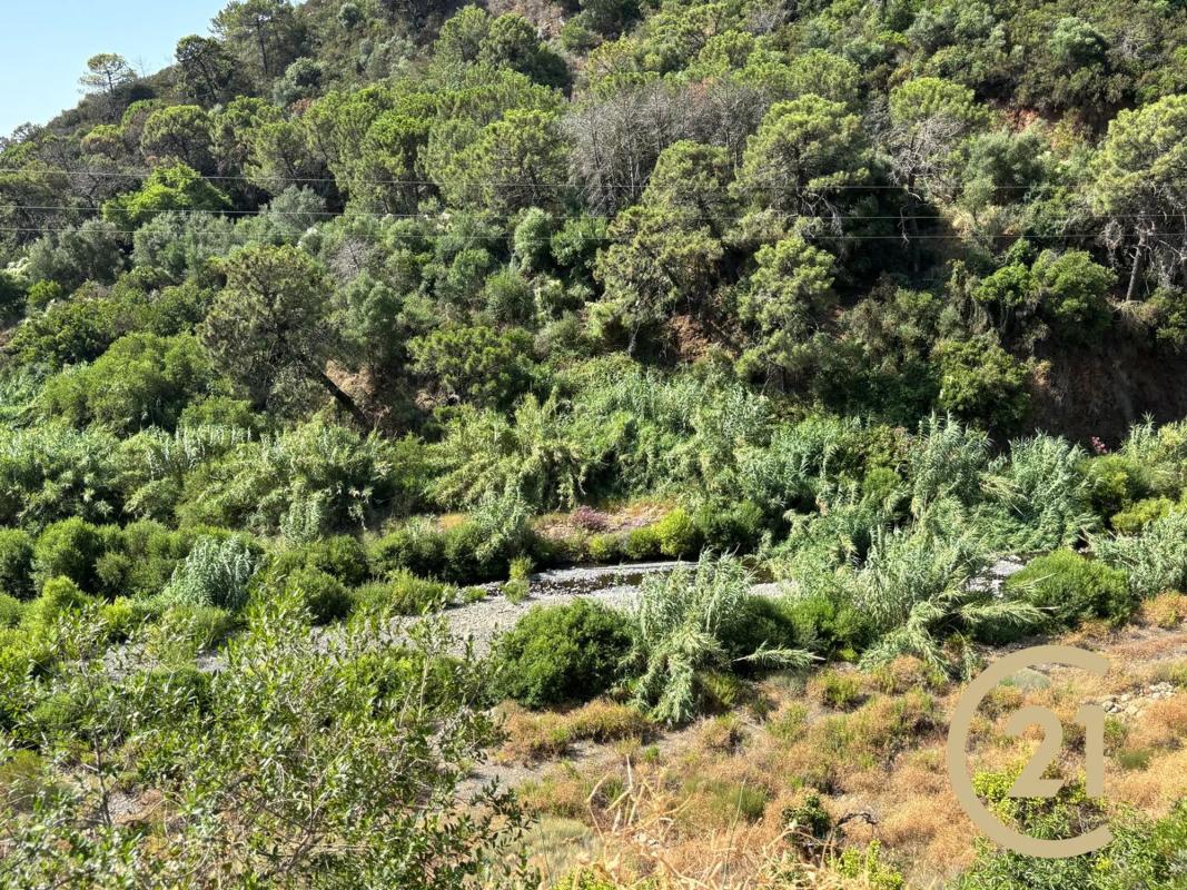Działka na sprzedaż w Estepona, Malaga photo 4