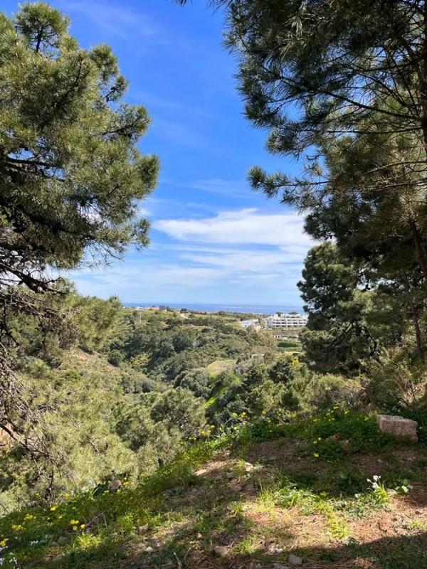 Działka na sprzedaż w Estepona, Malaga photo 4
