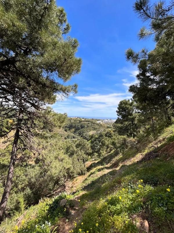 Działka na sprzedaż w Estepona, Malaga photo 5