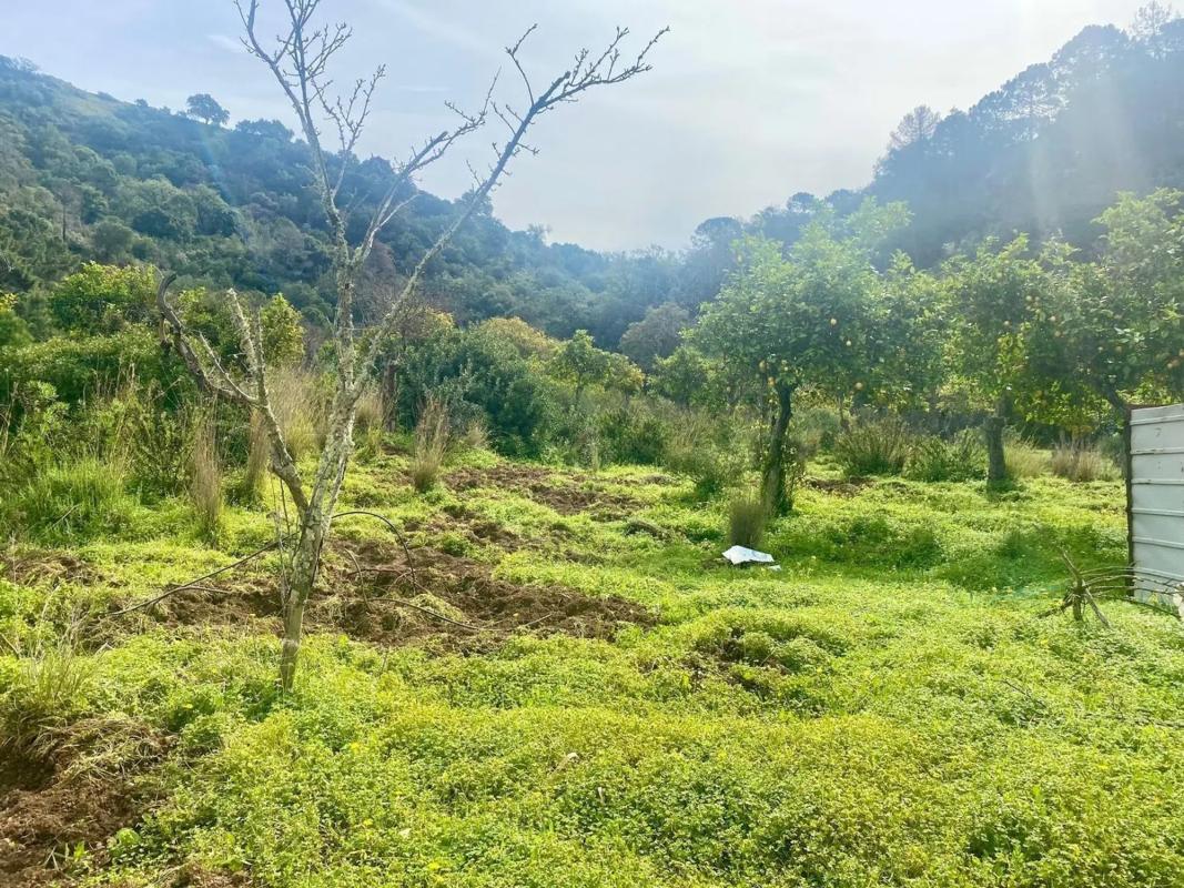 Terreno en venta en Estepona, Malaga photo 3