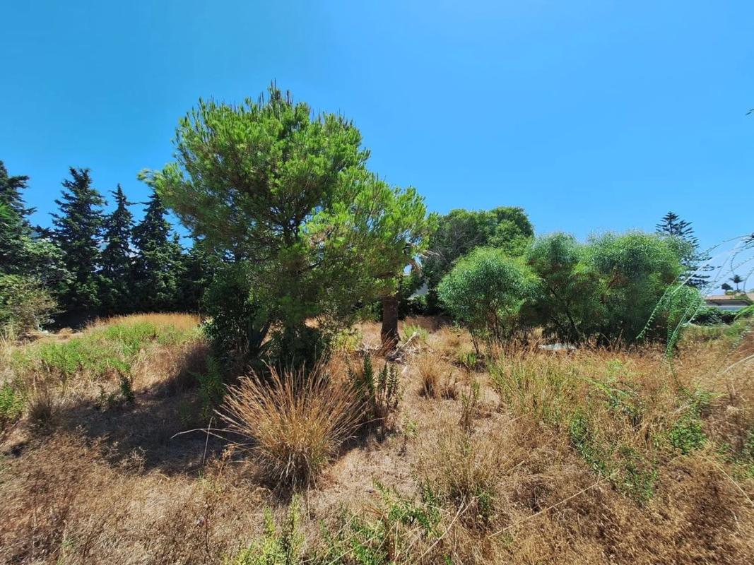 Land for sale in Estepona, Malaga photo 2