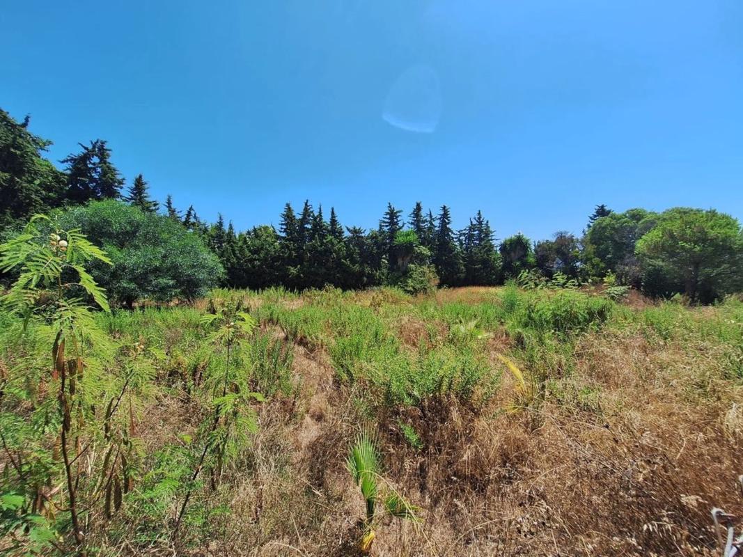 Land for sale in Estepona, Malaga photo 4