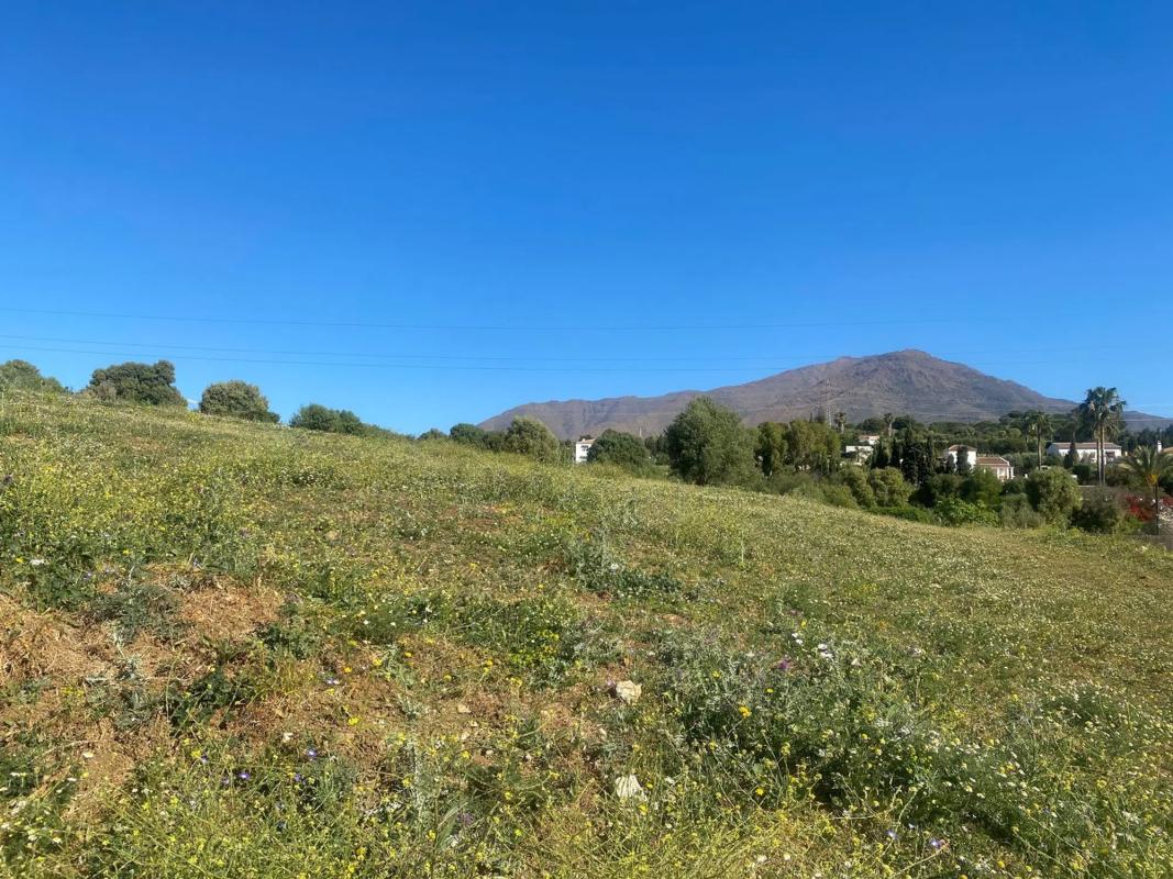 Terreno en venta en Estepona, Malaga photo 2