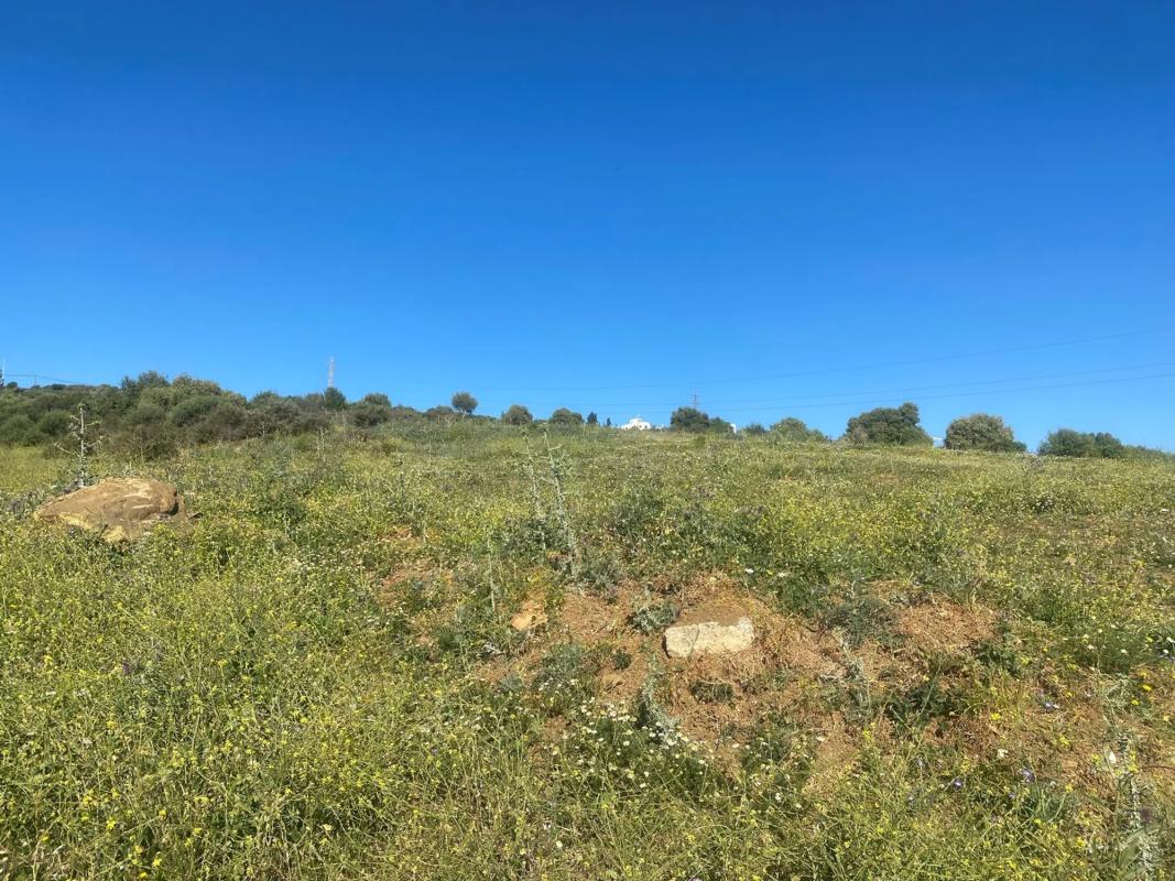 Terreno en venta en Estepona, Malaga photo 3