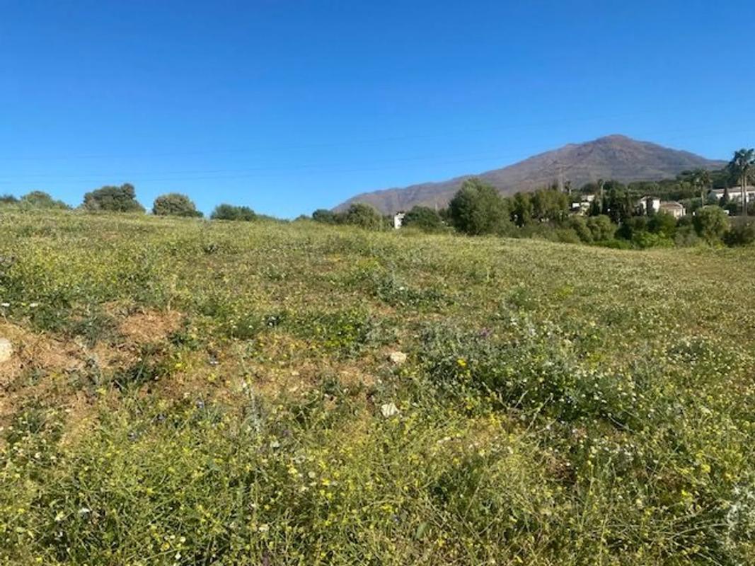 Terreno en venta en Estepona, Malaga photo 4