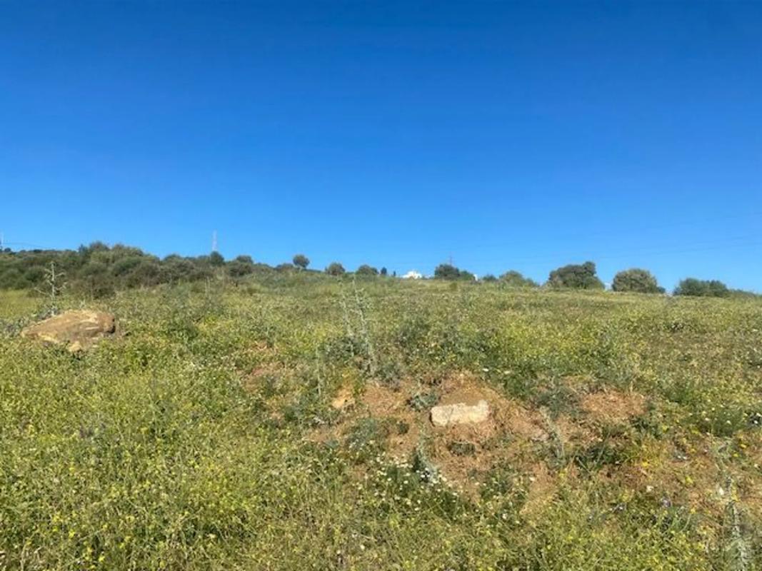 Terreno en venta en Estepona, Malaga photo 5