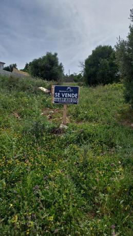 Terreno en Urbanización Valle Romano, 227 photo 3