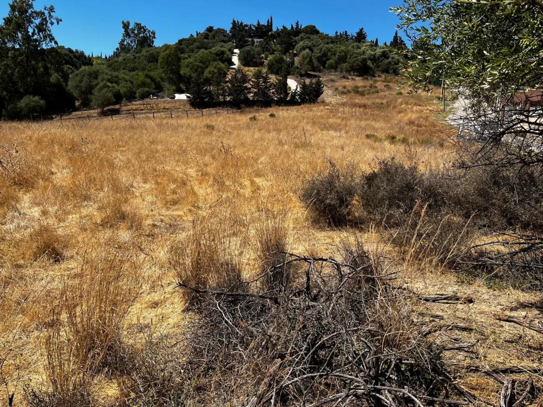 Land for sale in Estepona, Malaga photo 1