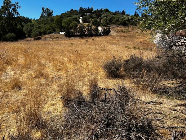 Terreno en calle Monterroso, km 1 photo 1