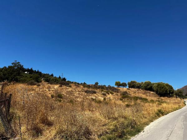 Terreno en calle Monterroso, km 1 thumbnail 2