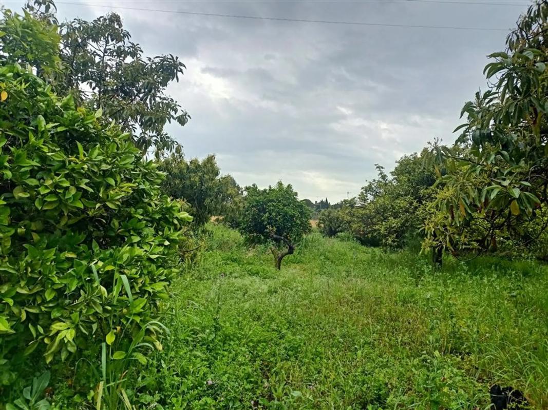Land for sale in Estepona, Malaga photo 3