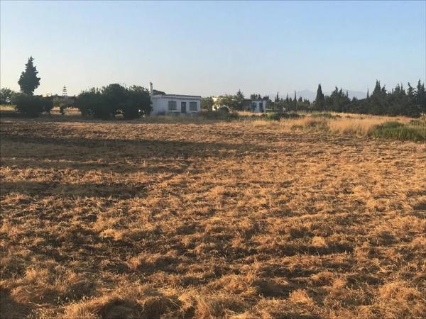 Terreno en Barrio Los Llanos photo 2