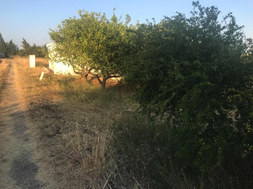 Terreno en venta en Estepona, Malaga photo 5