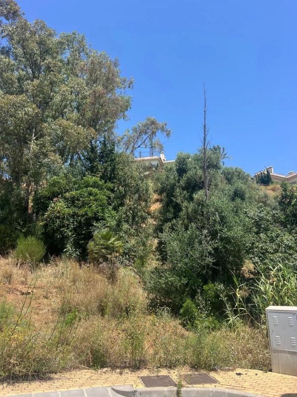 Terreno en venta en Estepona, Malaga photo 1