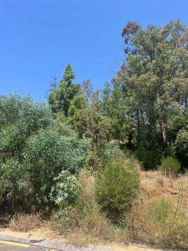 Terreno en venta en Estepona, Malaga photo 5