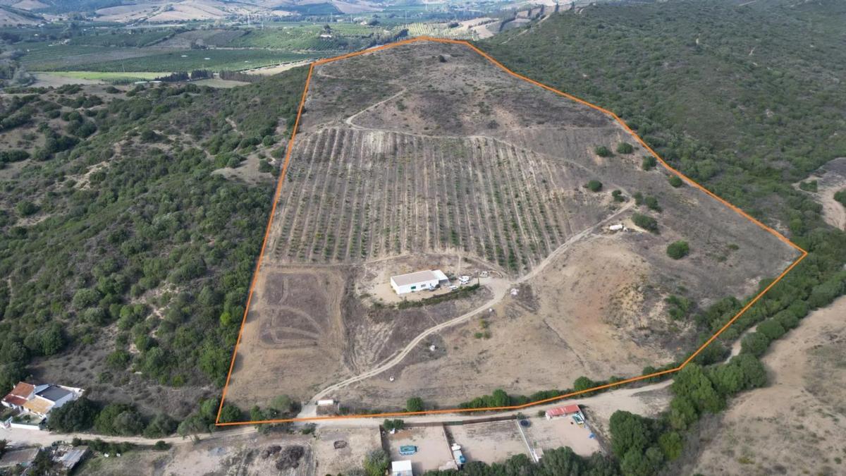Terreno en venta en Manilva, Malaga photo 4