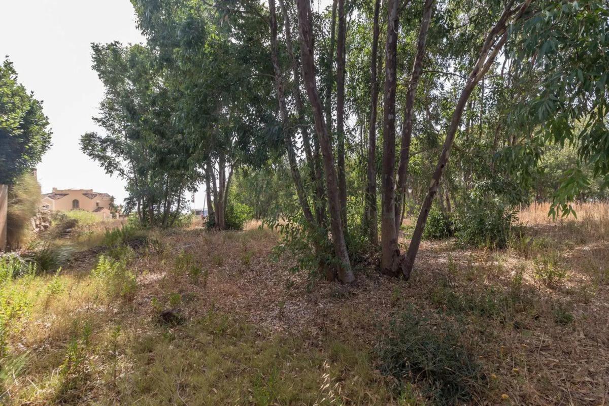 Terreno en venta en Manilva, Malaga photo 3