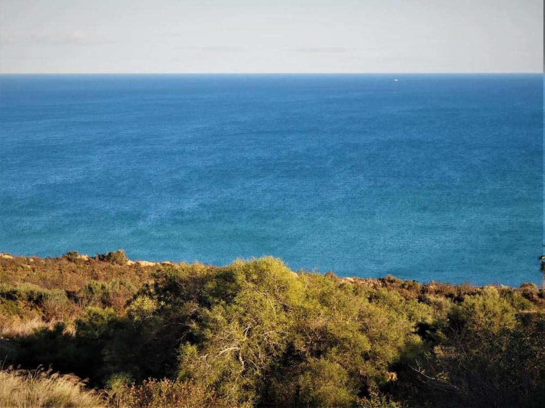 Land for sale in Manilva, Malaga photo 1