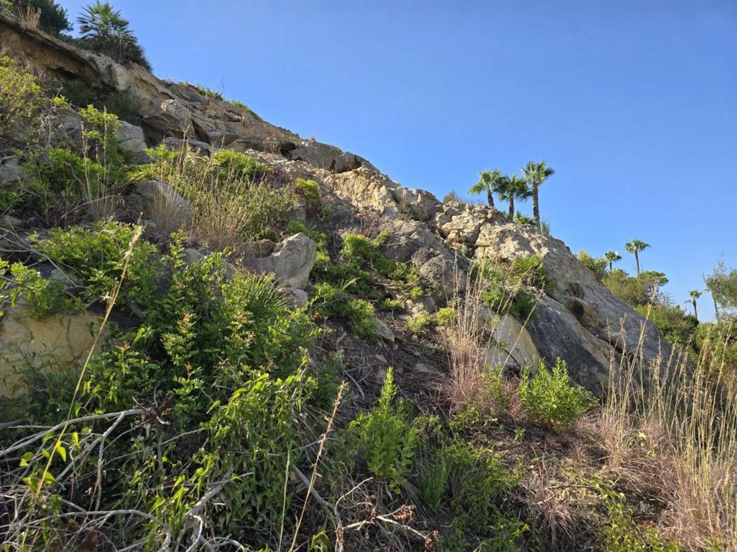 Land for sale in Manilva, Malaga photo 4