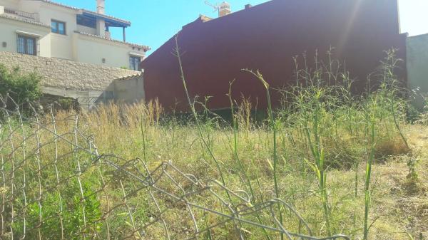 Terreno en Montealto photo 2
