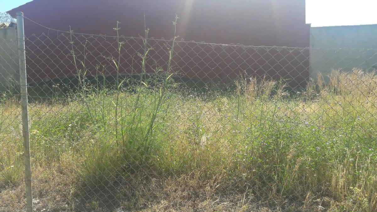 Участок земли на продажу в Бенальмадена, Малага photo 3