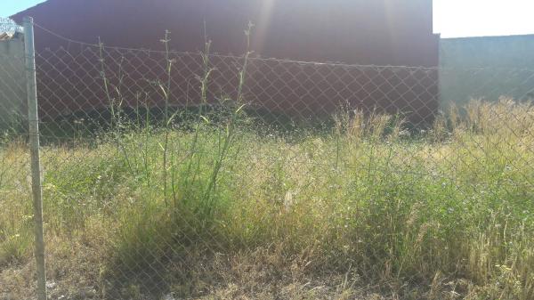Terreno en Montealto photo 3