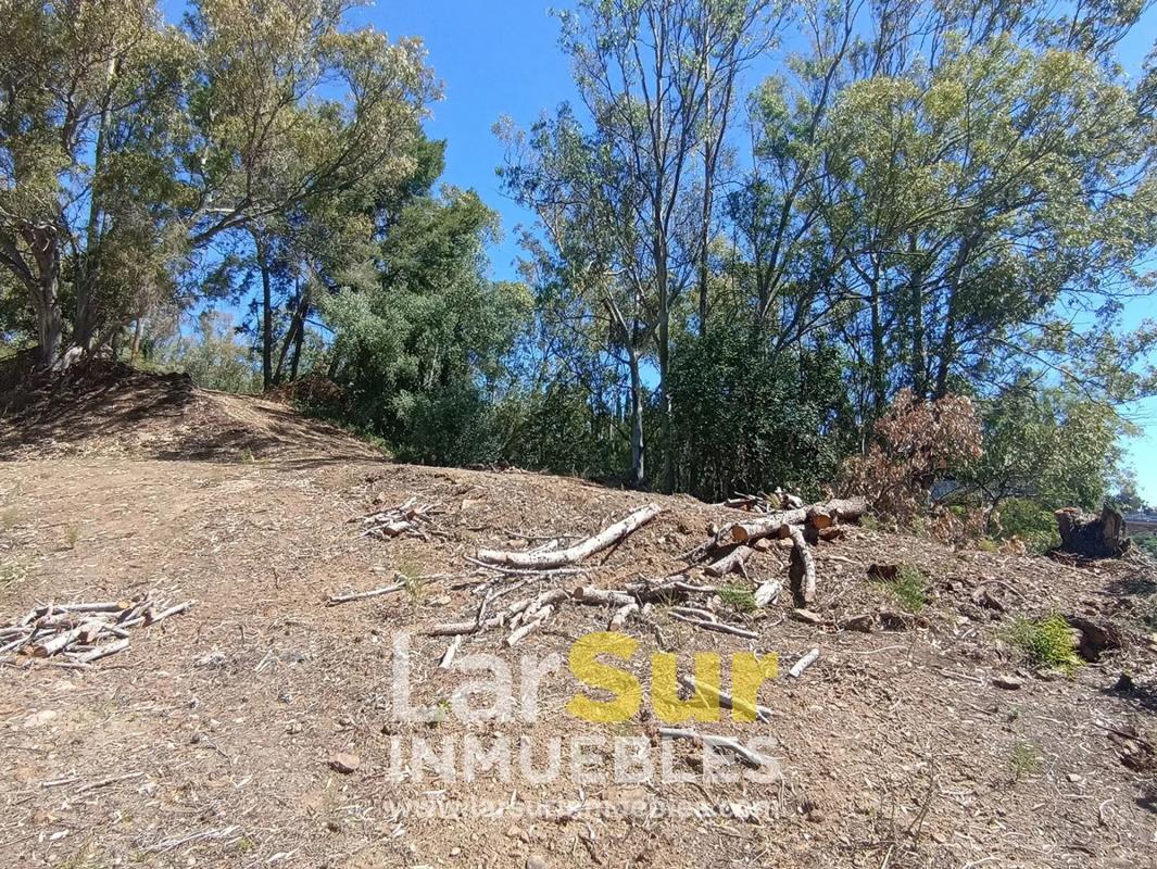 Terreno en venta en Benalmádena, Malaga photo 3