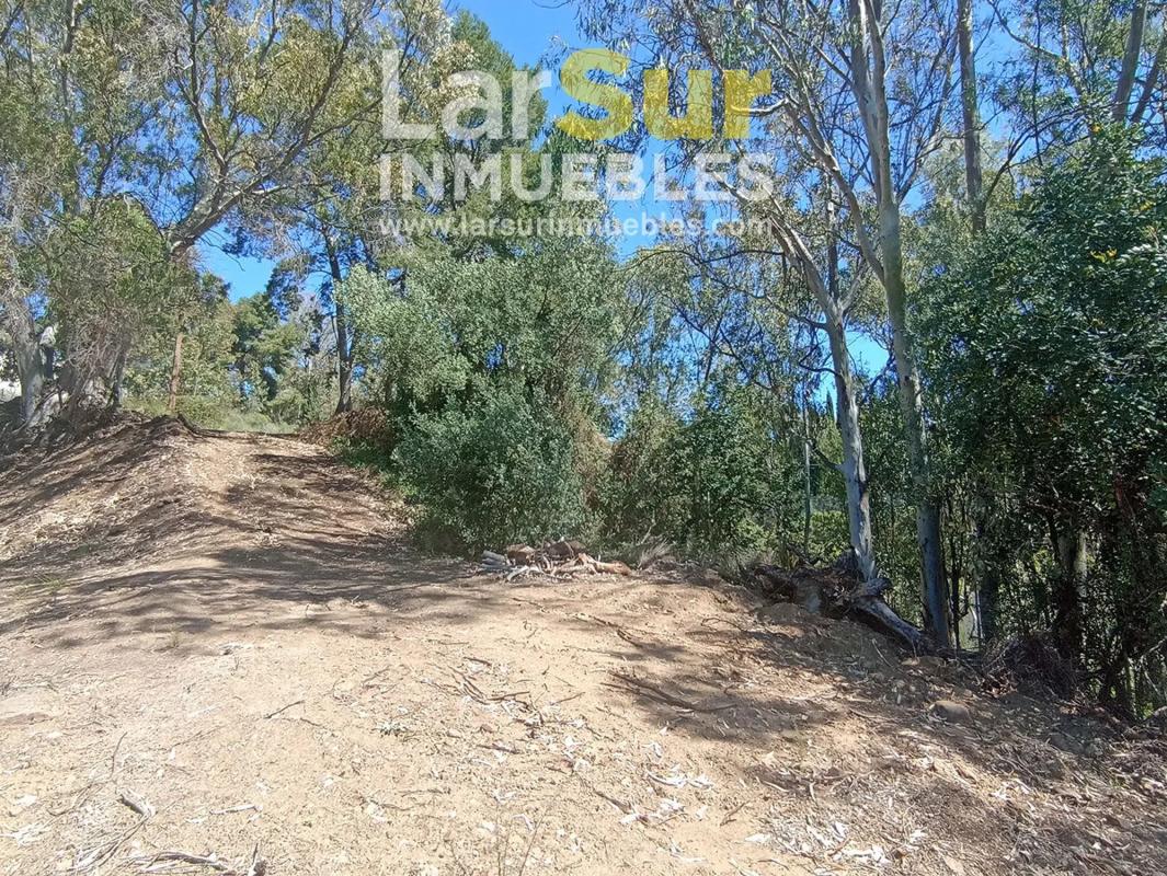 Terreno en venta en Benalmádena, Malaga photo 4