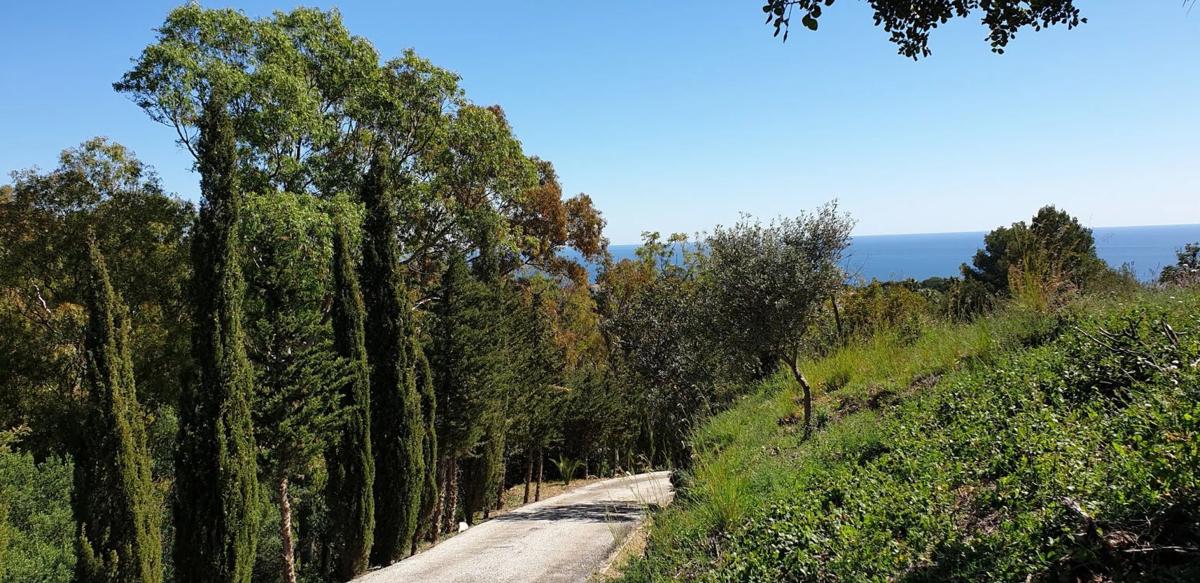 Land for sale in Benalmádena, Malaga photo 2