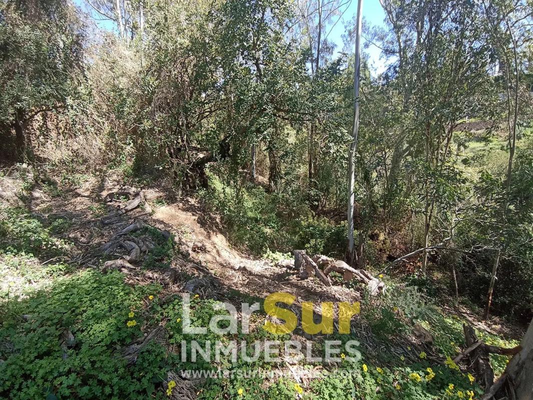Terreno en venta en Benalmádena, Malaga photo 5
