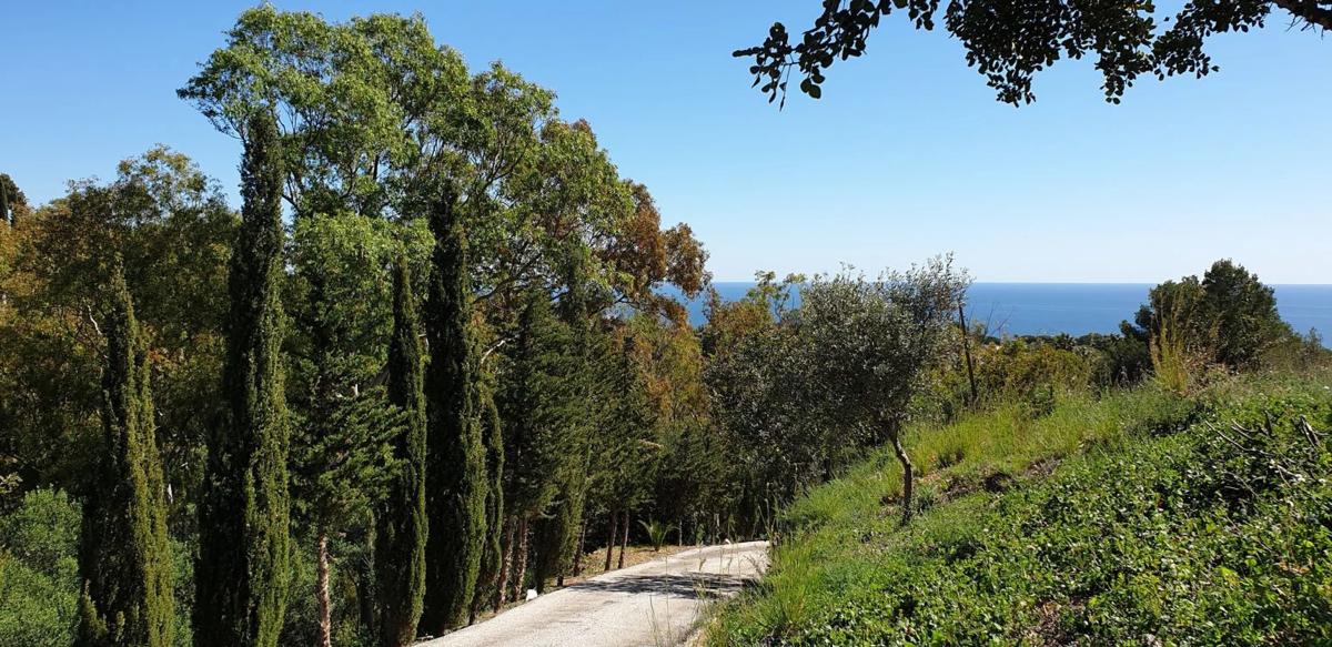 Land for sale in Benalmádena, Malaga photo 5