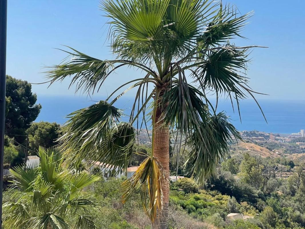 Działka na sprzedaż w Fuengirola, Malaga photo 4