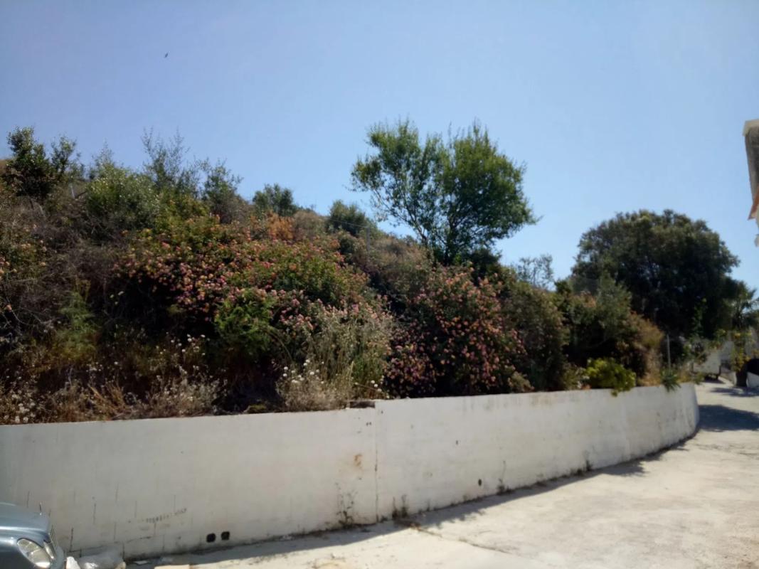 Terreno en venta en Mijas, Malaga photo 5