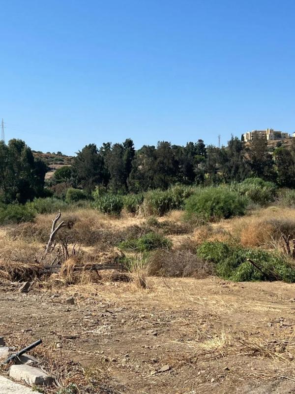 Terreno en venta en Mijas, Malaga photo 5