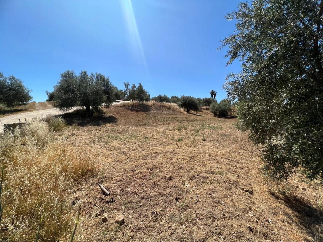 Land for sale in Mijas, Malaga photo 5