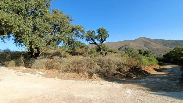 Terreno en Urb. La Cala Golf, 1 photo 3