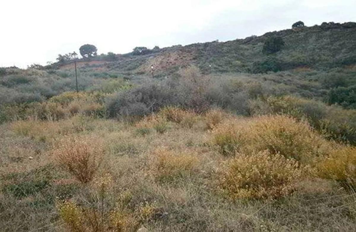 Terreno en venta en Mijas, Malaga photo 3