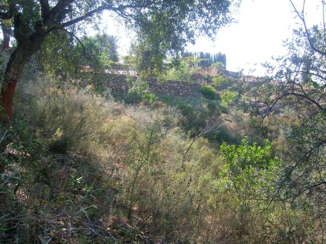 Land for sale in Mijas, Malaga photo 1