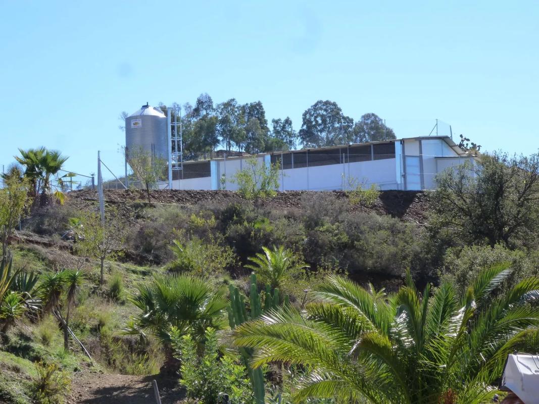 Land for sale in Mijas, Malaga photo 5