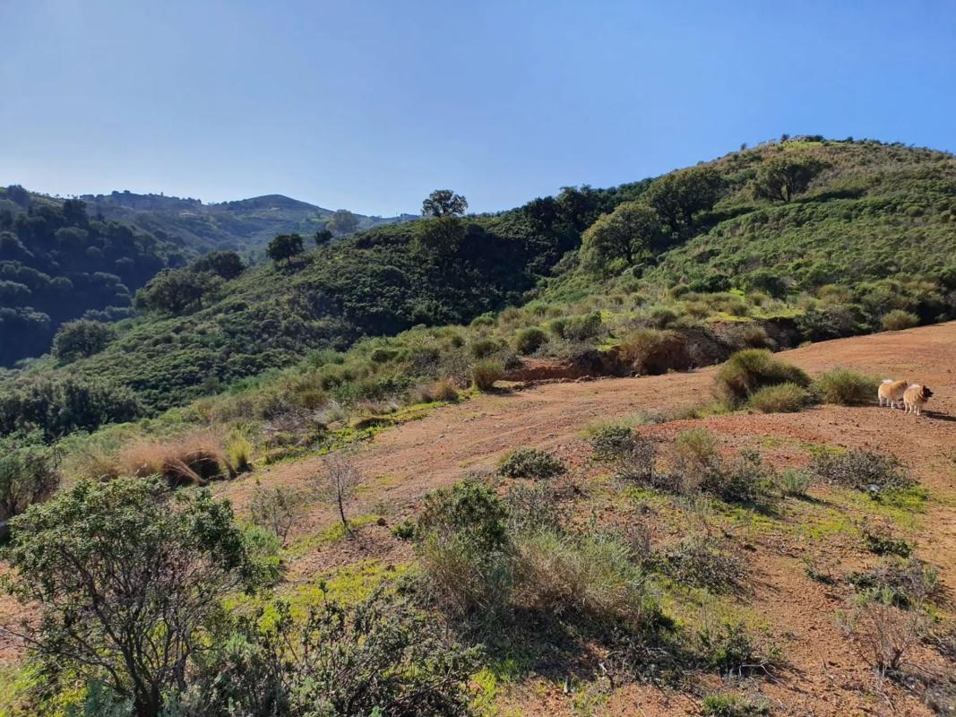 Land for sale in Mijas, Malaga photo 3