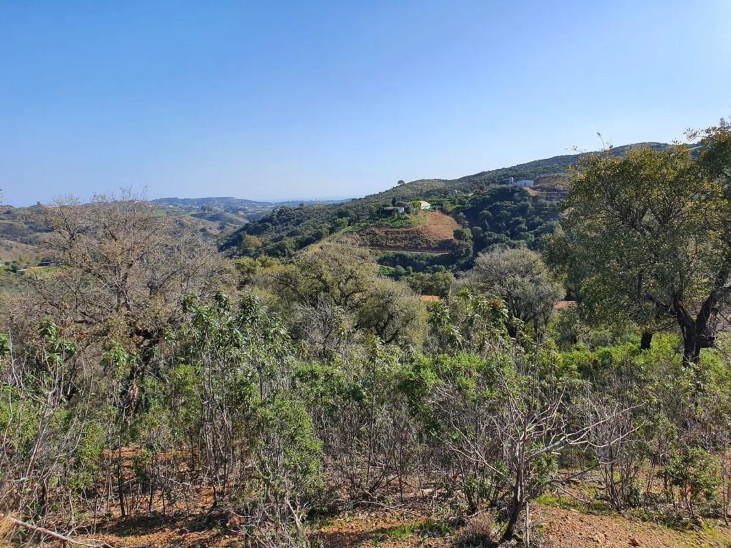 Land for sale in Mijas, Malaga photo 5