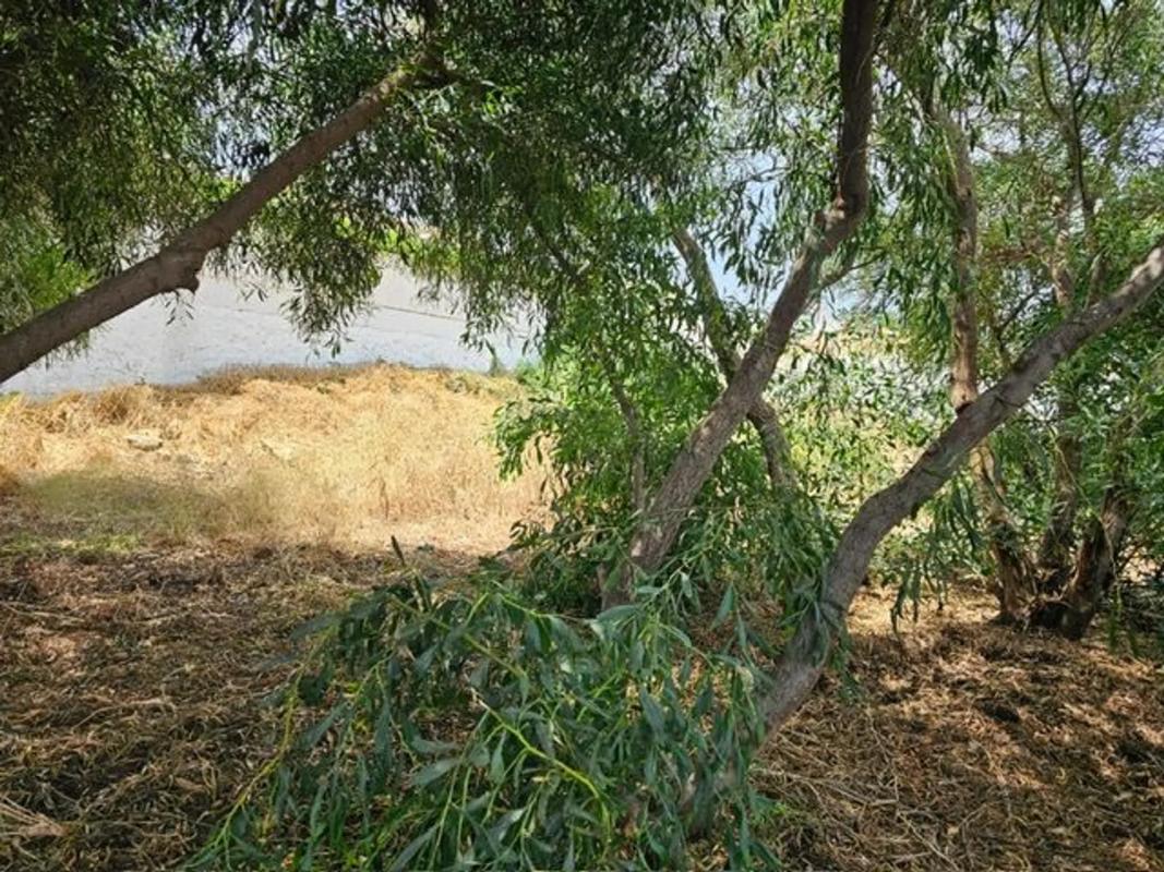 Terreno en venta en Mijas, Malaga photo 3
